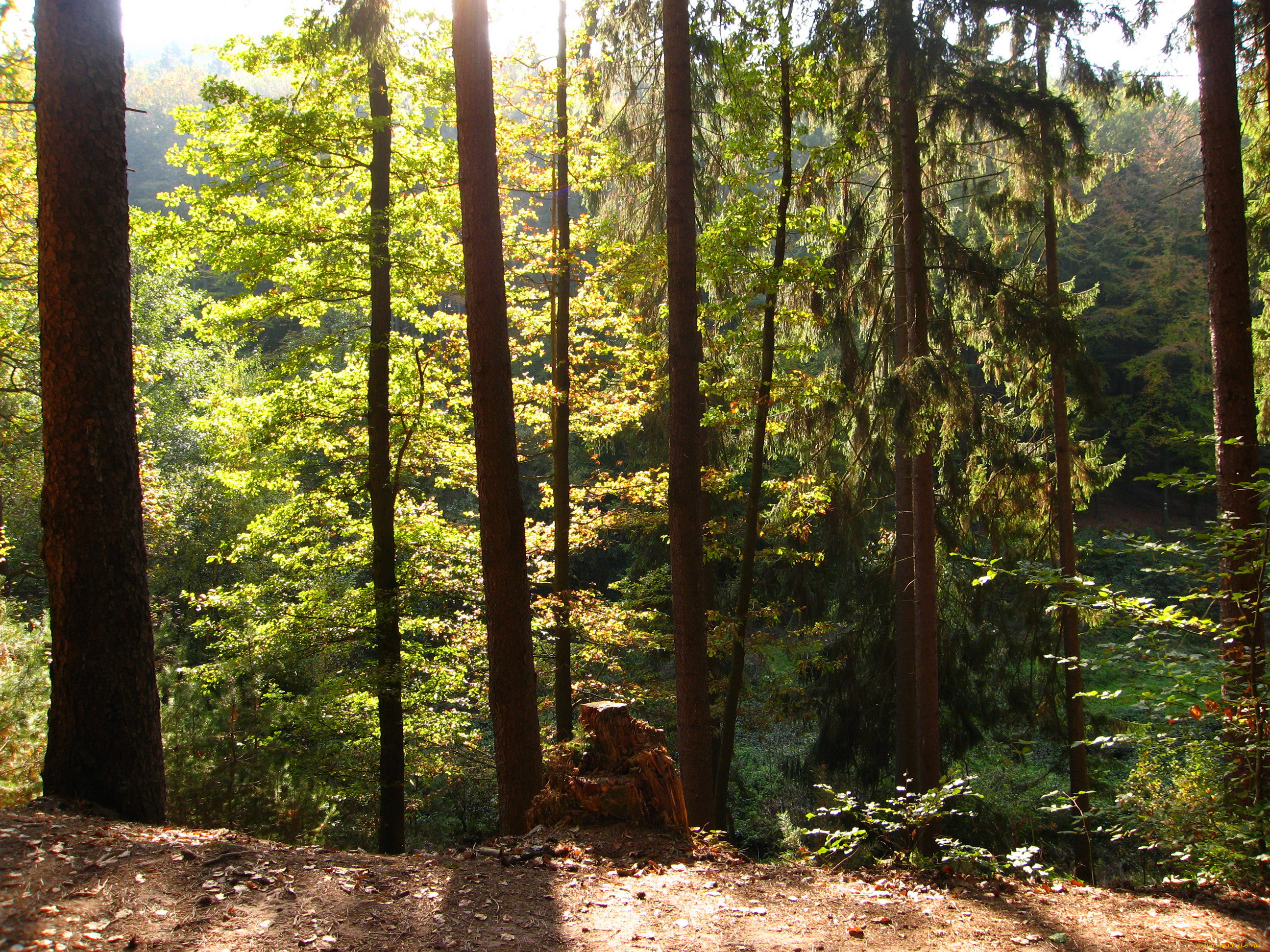 marburg, germany, , , 